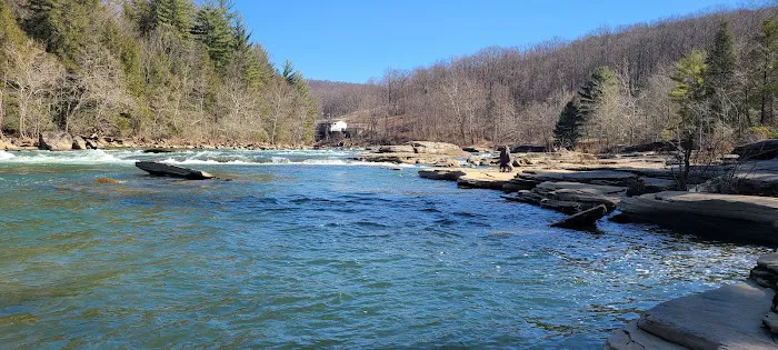 Pura Vida Cabin Picture 7