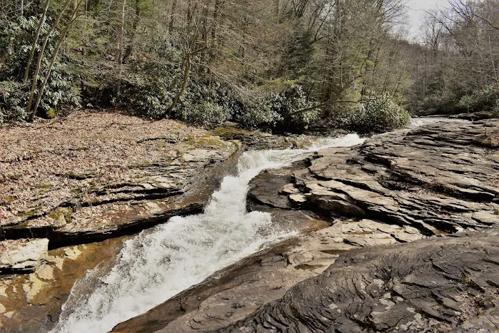 Pura Vida Cabin Picture 5