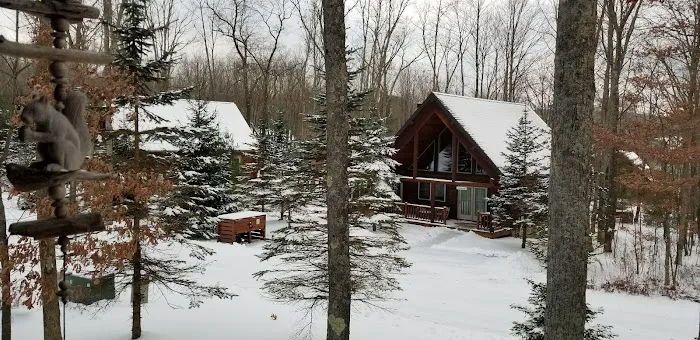 So Happy Together Picture 5