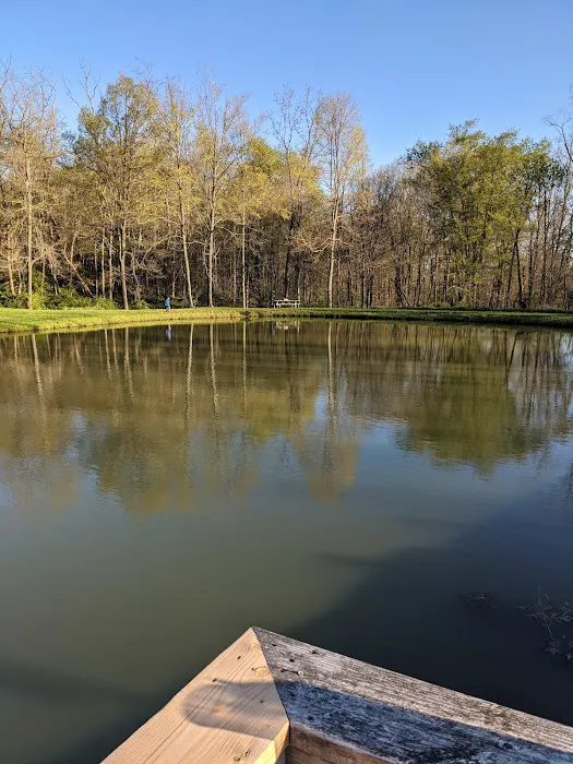 Robert W Craig Campground Picture 5