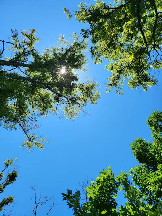 Robert W Craig Campground Picture 4