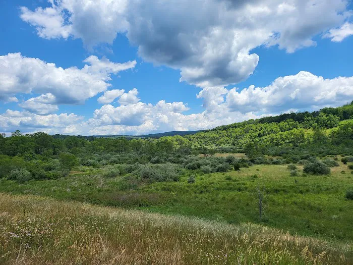 Robert W Craig Campground Picture 7