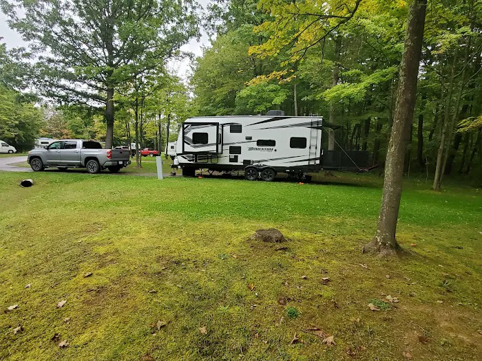 Robert W Craig Campground Picture 9