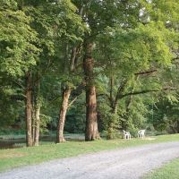 Eagle's Nest Campground ico