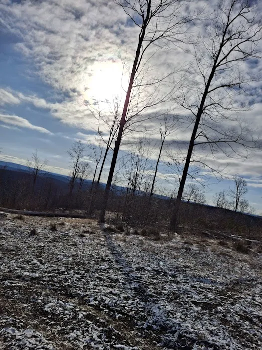 Camping Site -Shephard Rd Picture 3