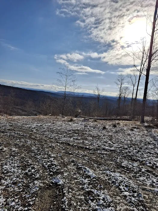 Camping Site -Shephard Rd Picture 2