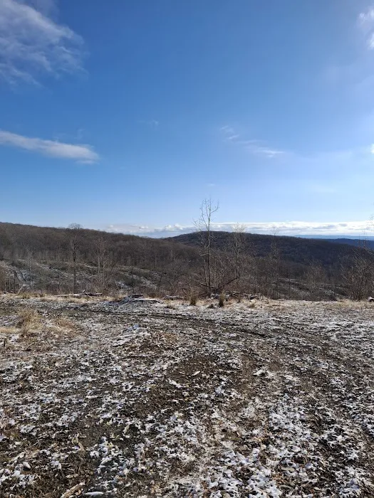 Camping Site -Shephard Rd Picture 1