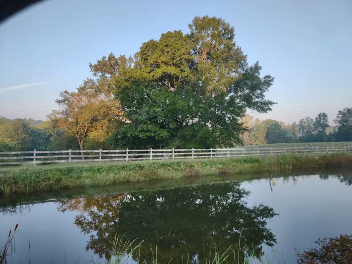 Cozy Acres Family Campground Picture 2