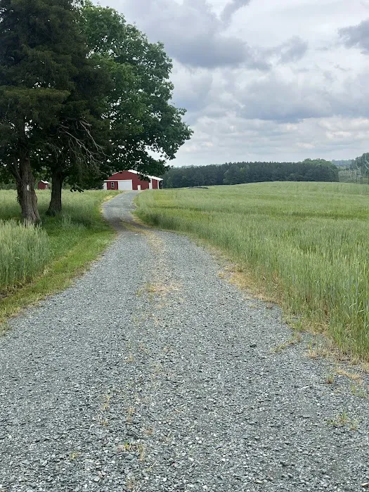 Peaceful Meadows Farm and Camping Picture 1