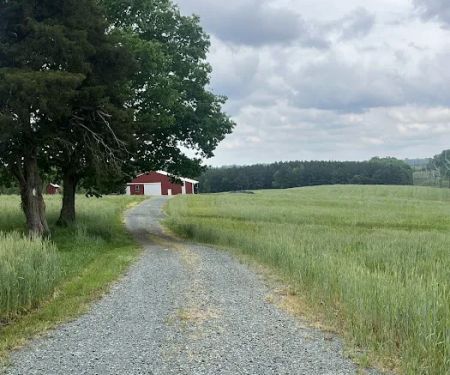 Peaceful Meadows Farm and Camping