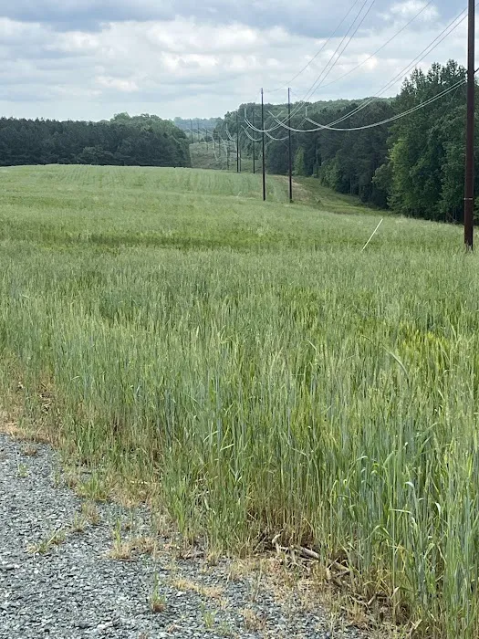 Peaceful Meadows Farm and Camping Picture 2