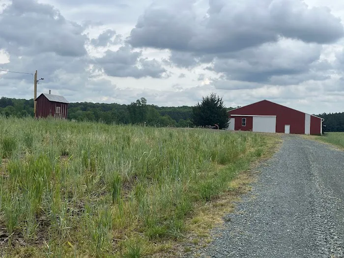 Peaceful Meadows Farm and Camping Picture 5