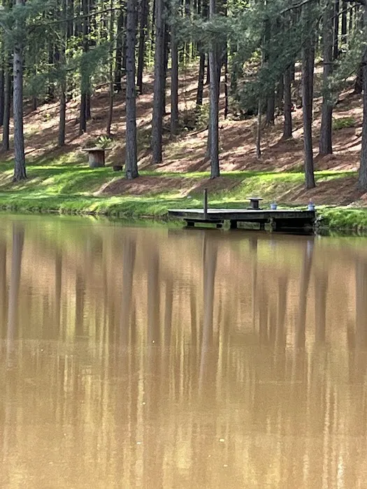 Peaceful Meadows Farm and Camping Picture 4