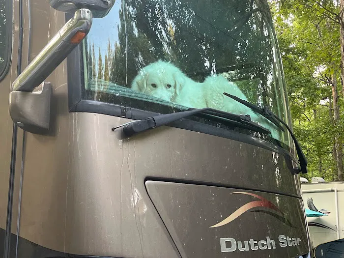 Peaceful Meadows Farm and Camping Picture 7