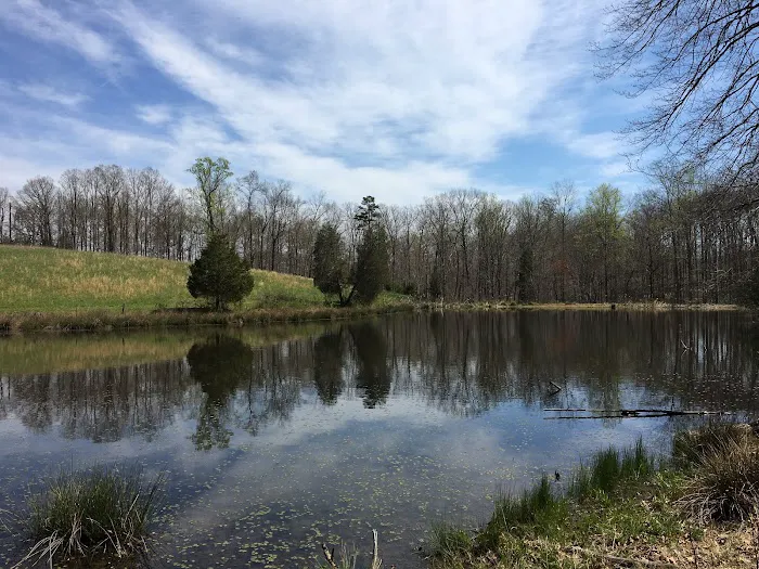 Charlottesville KOA Holiday Picture 9