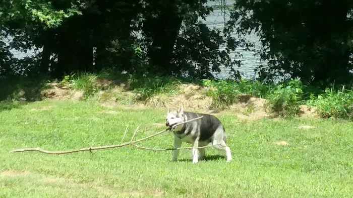 Horseshoe Flats Campground Picture 4