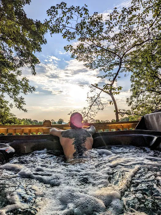 Lydia Mountains Hideaway Cabin Picture 4