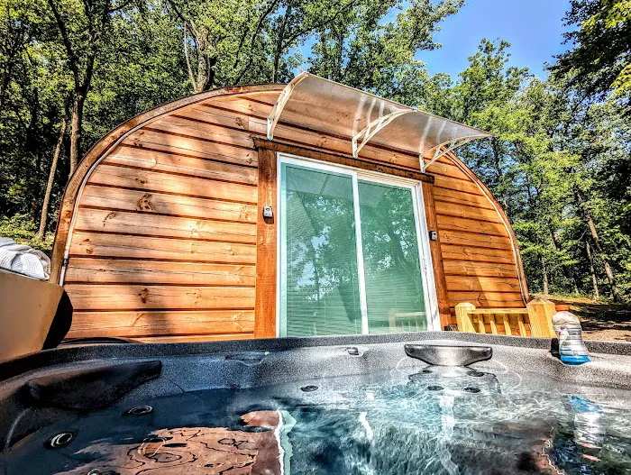 Lydia Mountains Hideaway Cabin Picture 2