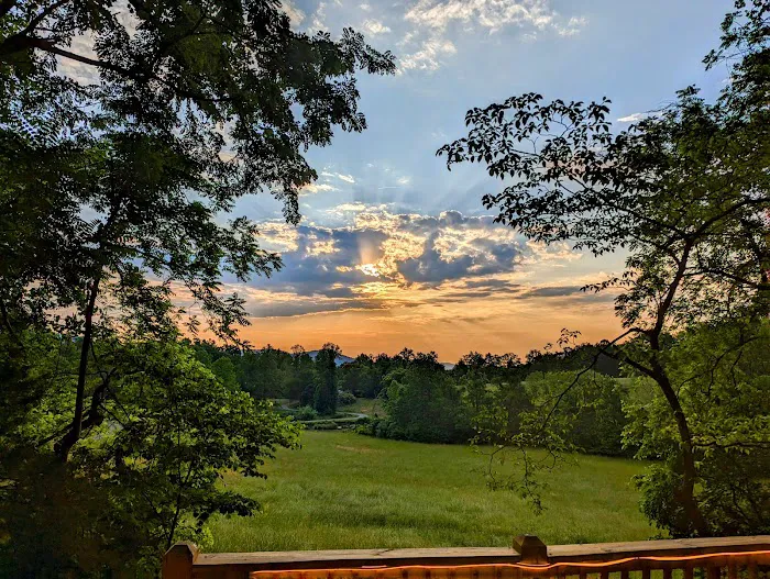 Lydia Mountains Hideaway Cabin Picture 7