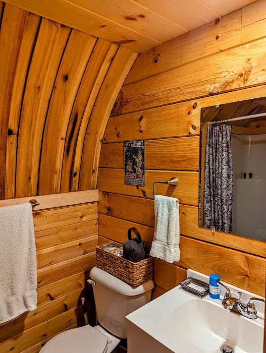 Lydia Mountains Hideaway Cabin Picture 1