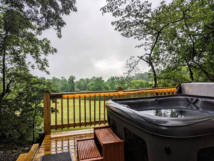 Lydia Mountains Hideaway Cabin Picture 8