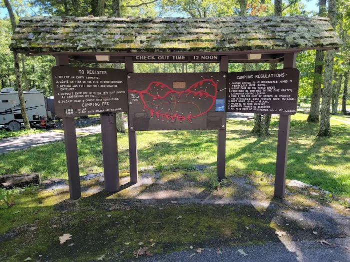 Lewis Mountain Campground Picture 3