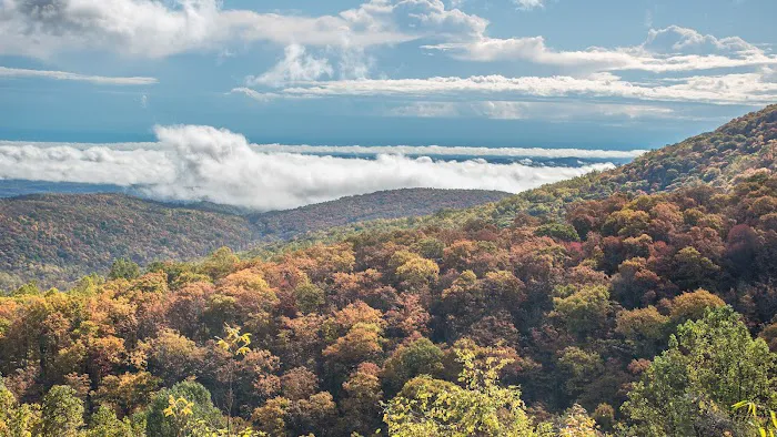 Lewis Mountain Campground Picture 5