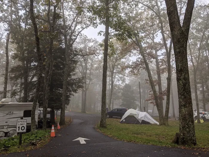 Lewis Mountain Campground Picture 9