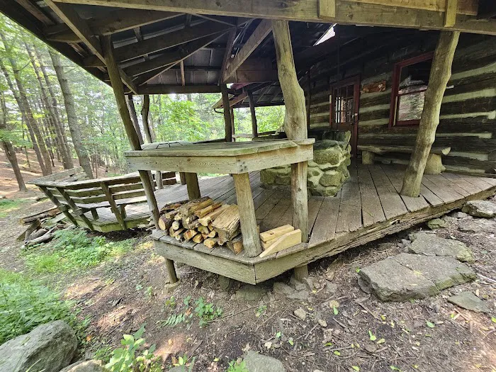 Wineberry Cabin Picture 4