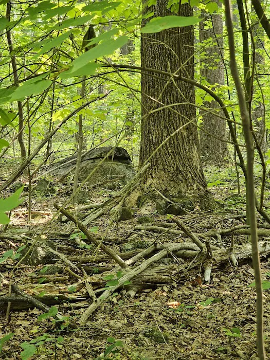 Wineberry Cabin Picture 5