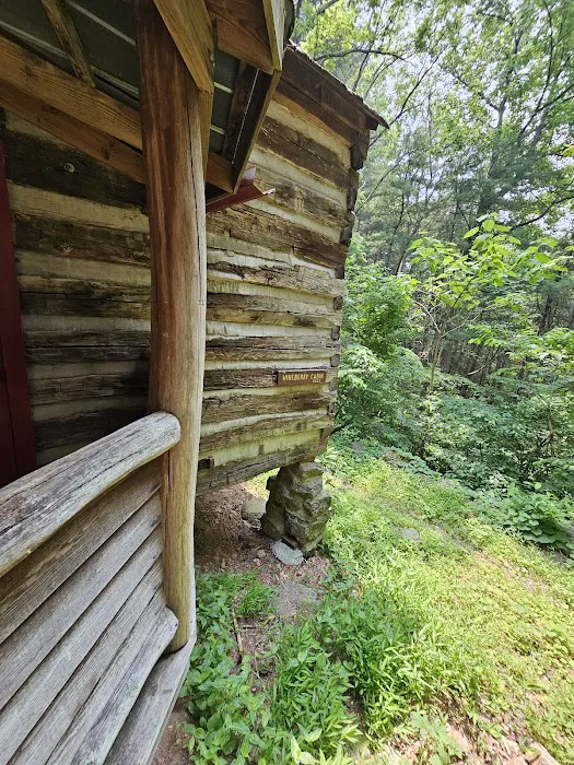 Wineberry Cabin Picture 10