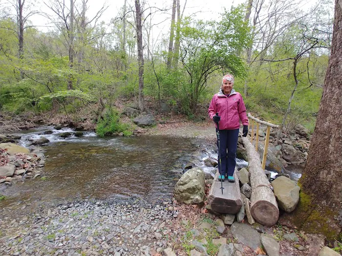 Vining Cabin Picture 9