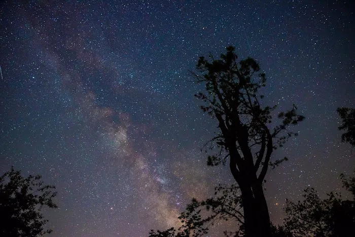 Loft Mountain Campground Picture 2