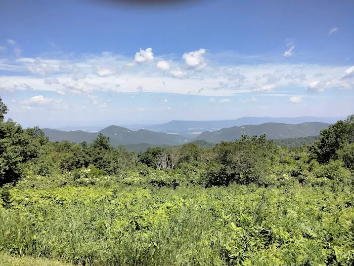 Loft Mountain Campground Picture 2