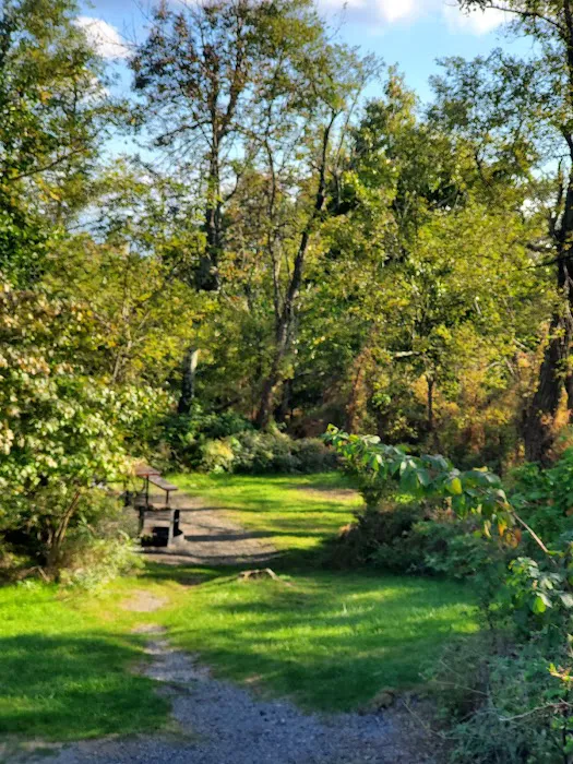 Loft Mountain Campground Picture 6