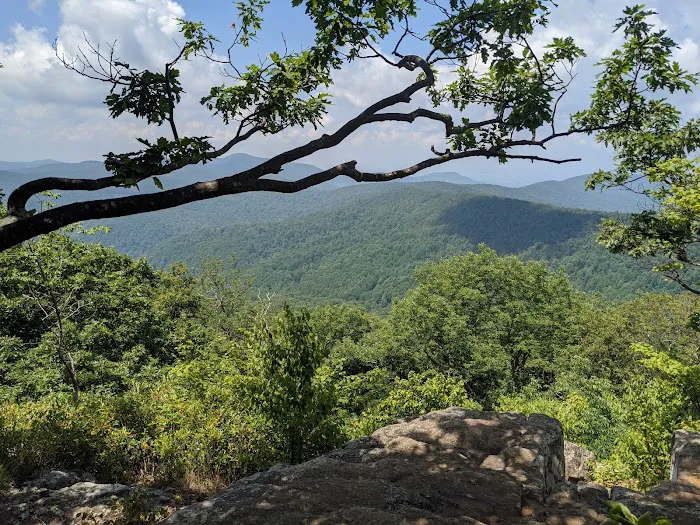 Loft Mountain Campground Picture 8