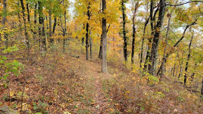 Dundo Group Campground Picture 8