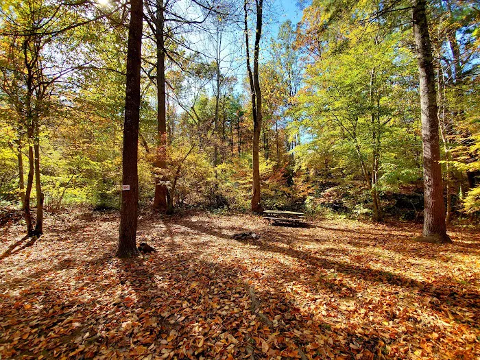 Swift Run Campground Picture 6