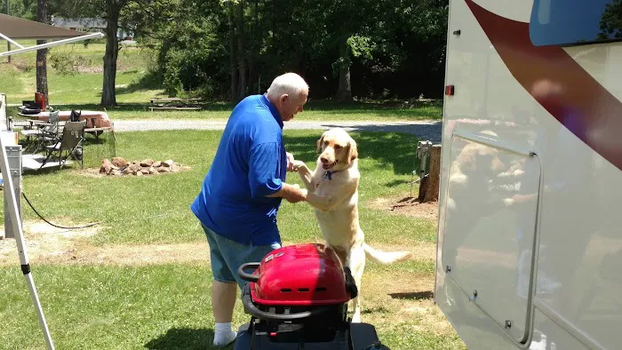 Swift Run Campground Picture 5