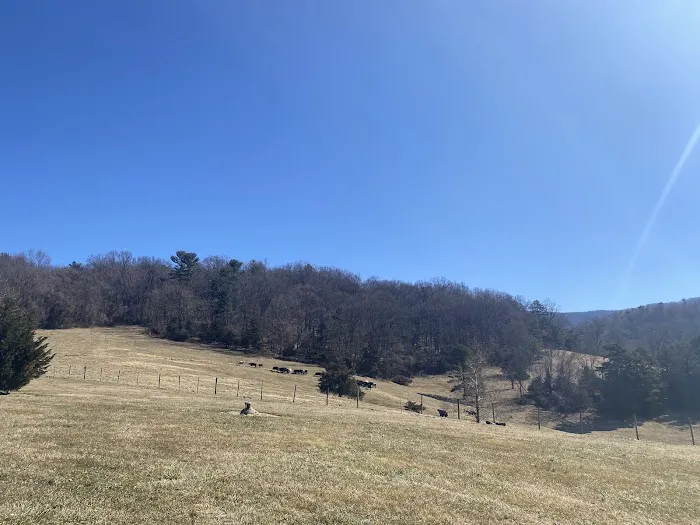 Eagle Rock Cabin Picture 3