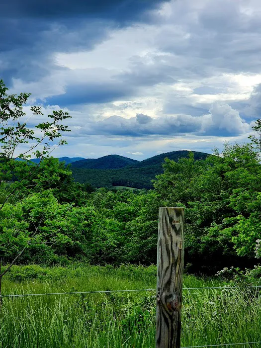 Eagle Rock Cabin Picture 6