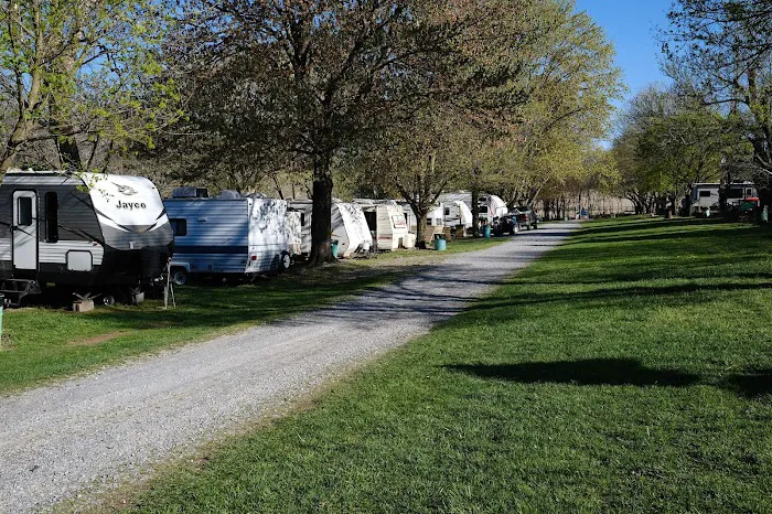 Riverside camping Picture 10