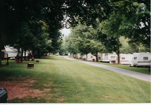 Riverside camping Picture 3