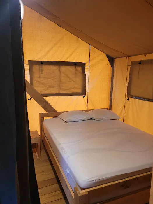 Luray RV Resort on Shenandoah River Picture 3