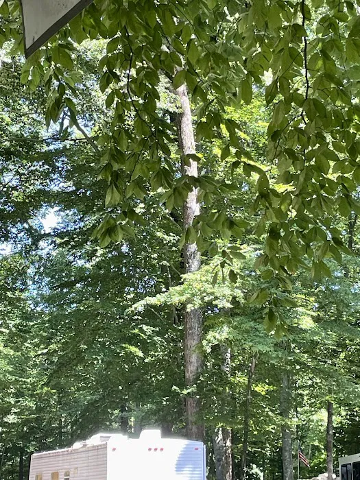 Carter's Cove Campground Picture 7