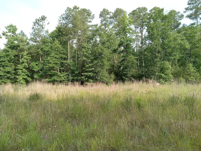 Newport News Parks Campsite Office Picture 8