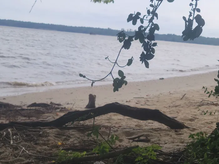 The Price House Cabin 4 Picture 3