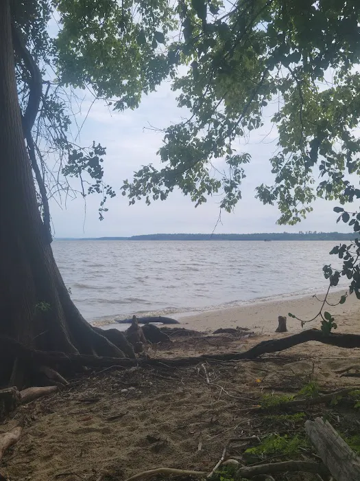 The Price House Cabin 4 Picture 10