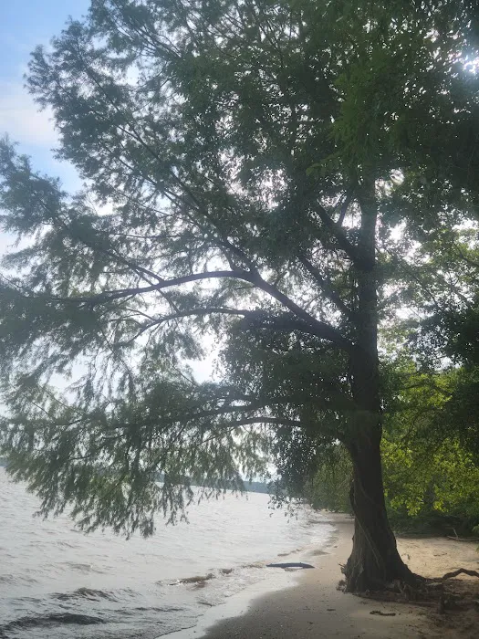 The Price House Cabin 4 Picture 6