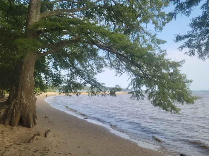 The Price House Cabin 4 Picture 5